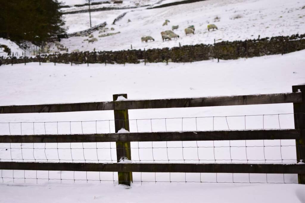 Cranmore House - A Walkers' And Cyclists' Dream Nenthead Buitenkant foto